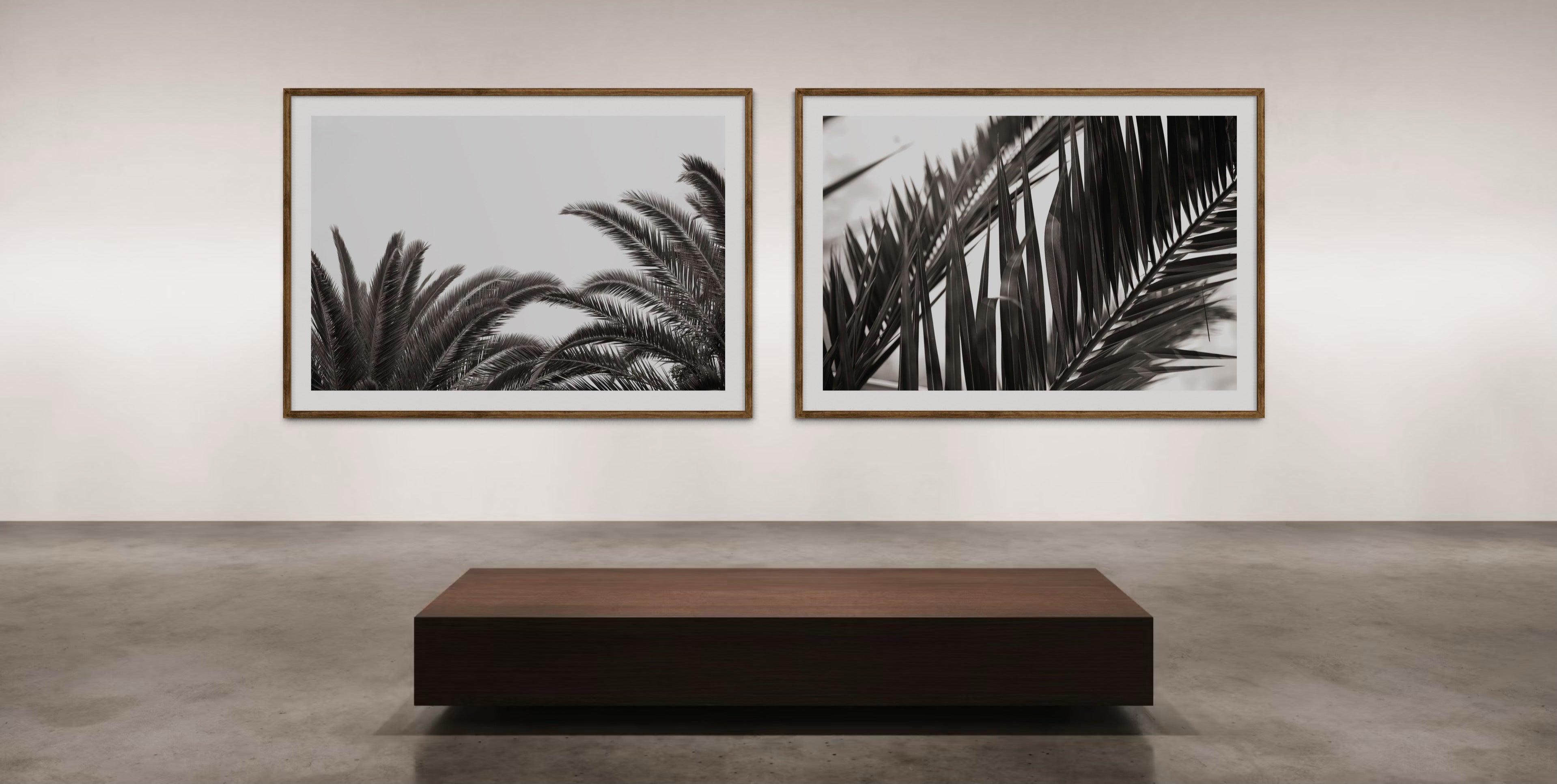 Two framed black and white artworks of palm leaves on a wall in an art gallery.