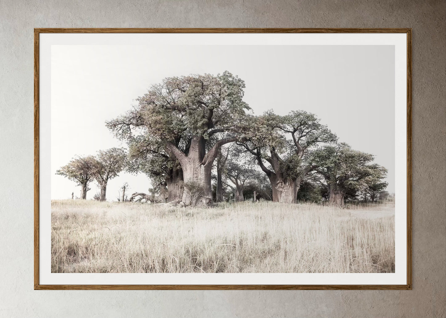 Natural Wood Kiaat framed artwork of a Large tree in a grassy field with a clear sky by Francoise V Fine Art Gallery in Cape Town, South Africa