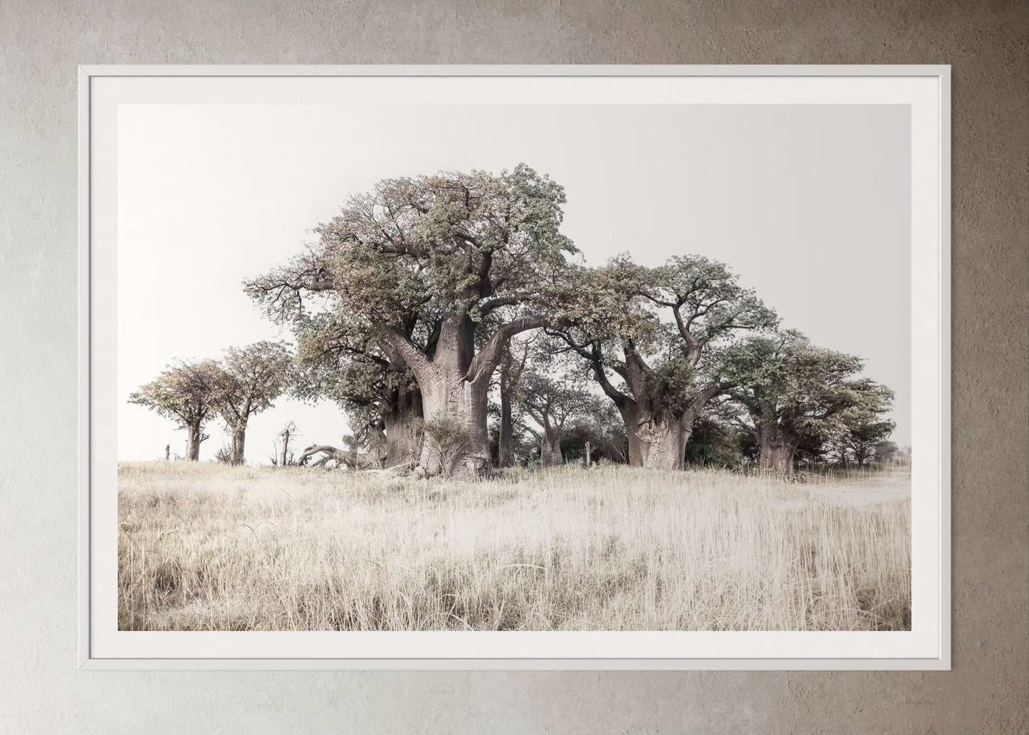 White box-framed artwork print of a Large tree in a grassy field with a clear sky by Francoise V Fine Art Gallery in Cape Town, South Africa