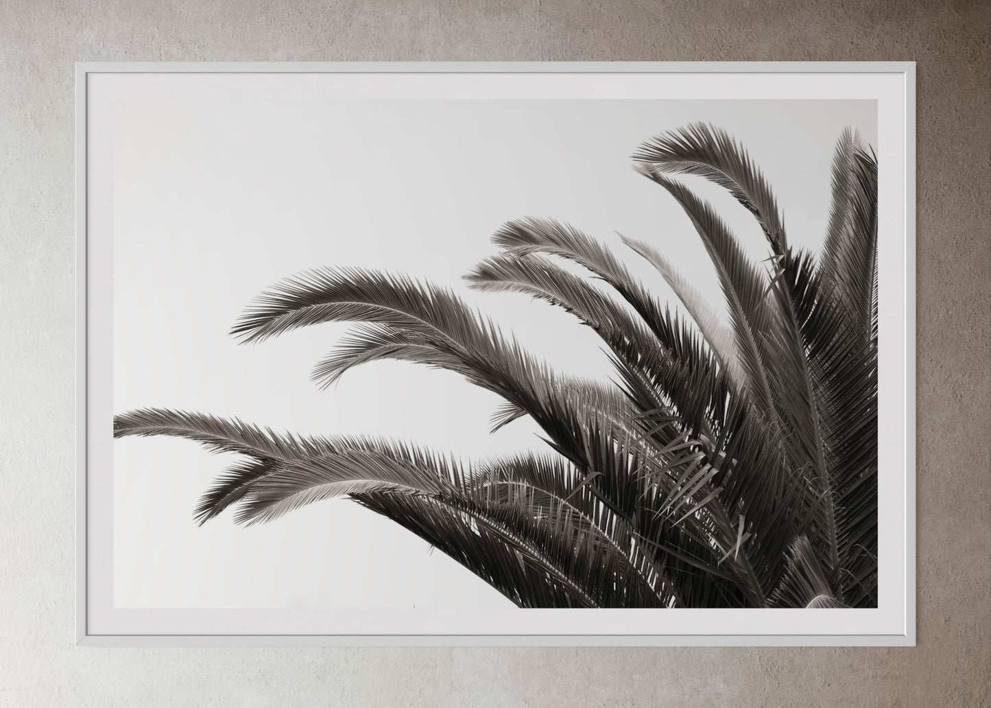 White box-framed artwork print of palm leaves by Francoise V Fine Art Gallery in Cape Town, South Africa