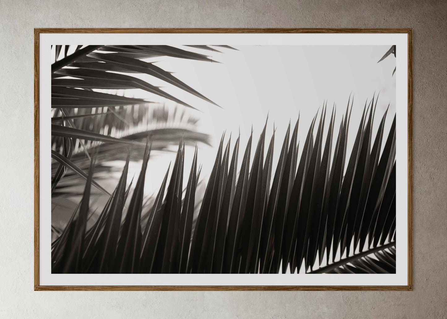 Natural Wood Kiaat framed artwork of palm leaves by Francoise V Fine Art Gallery in Cape Town, South Africa