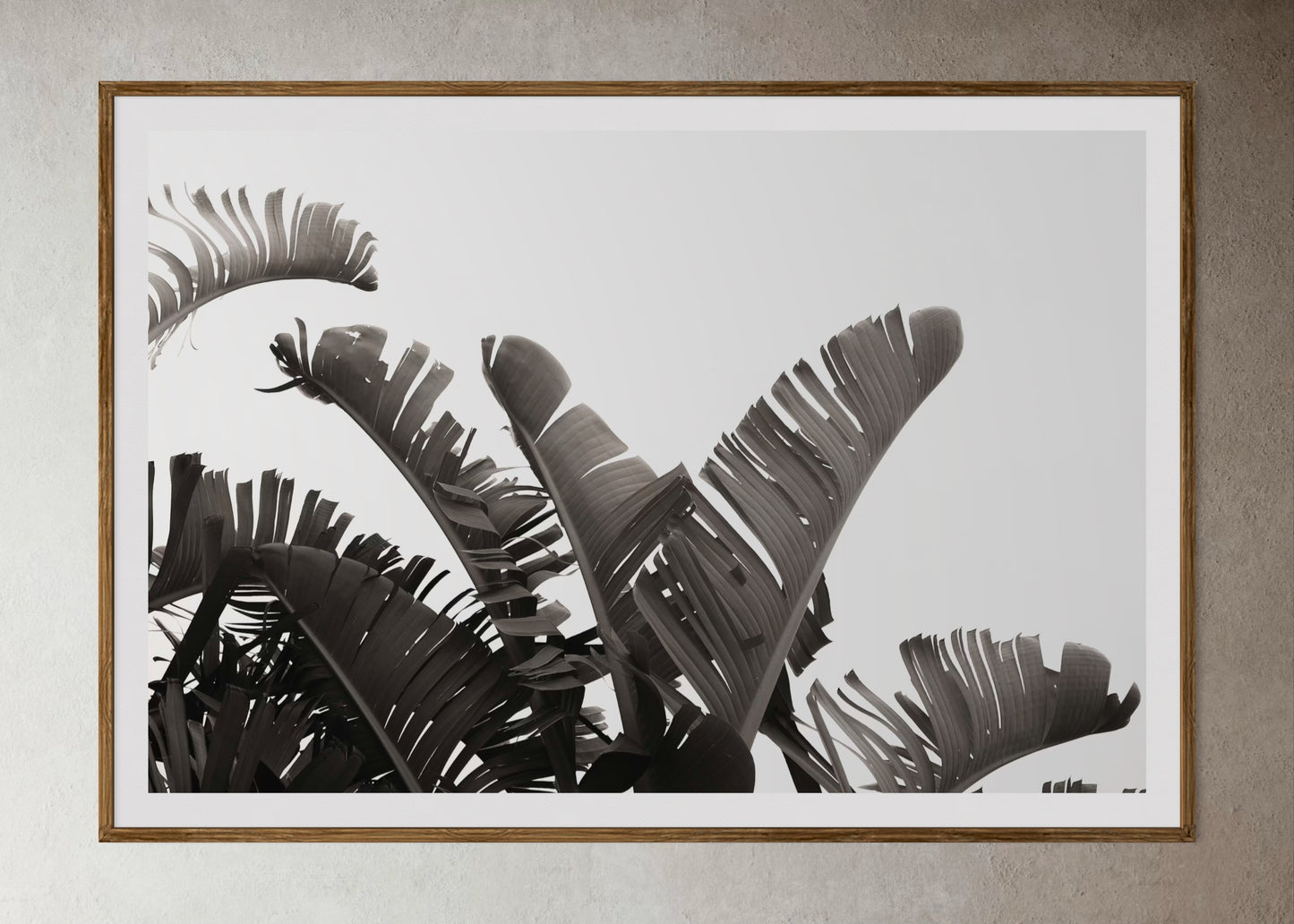 Natural Wood Kiaat framed artwork of palm leaves by Francoise V Fine Art Gallery in Cape Town, South Africa