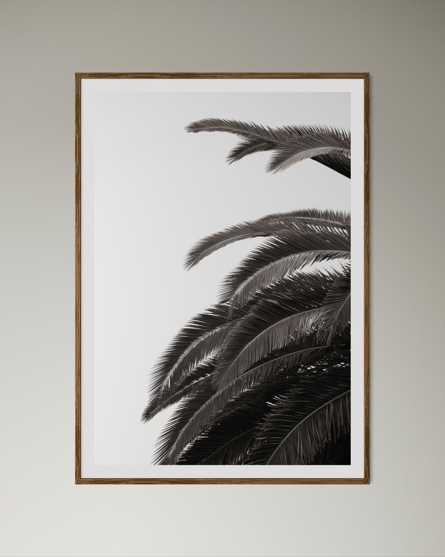 Natural Wood Kiaat framed artwork of palm leaves by Francoise V Fine Art Gallery in Cape Town, South Africa