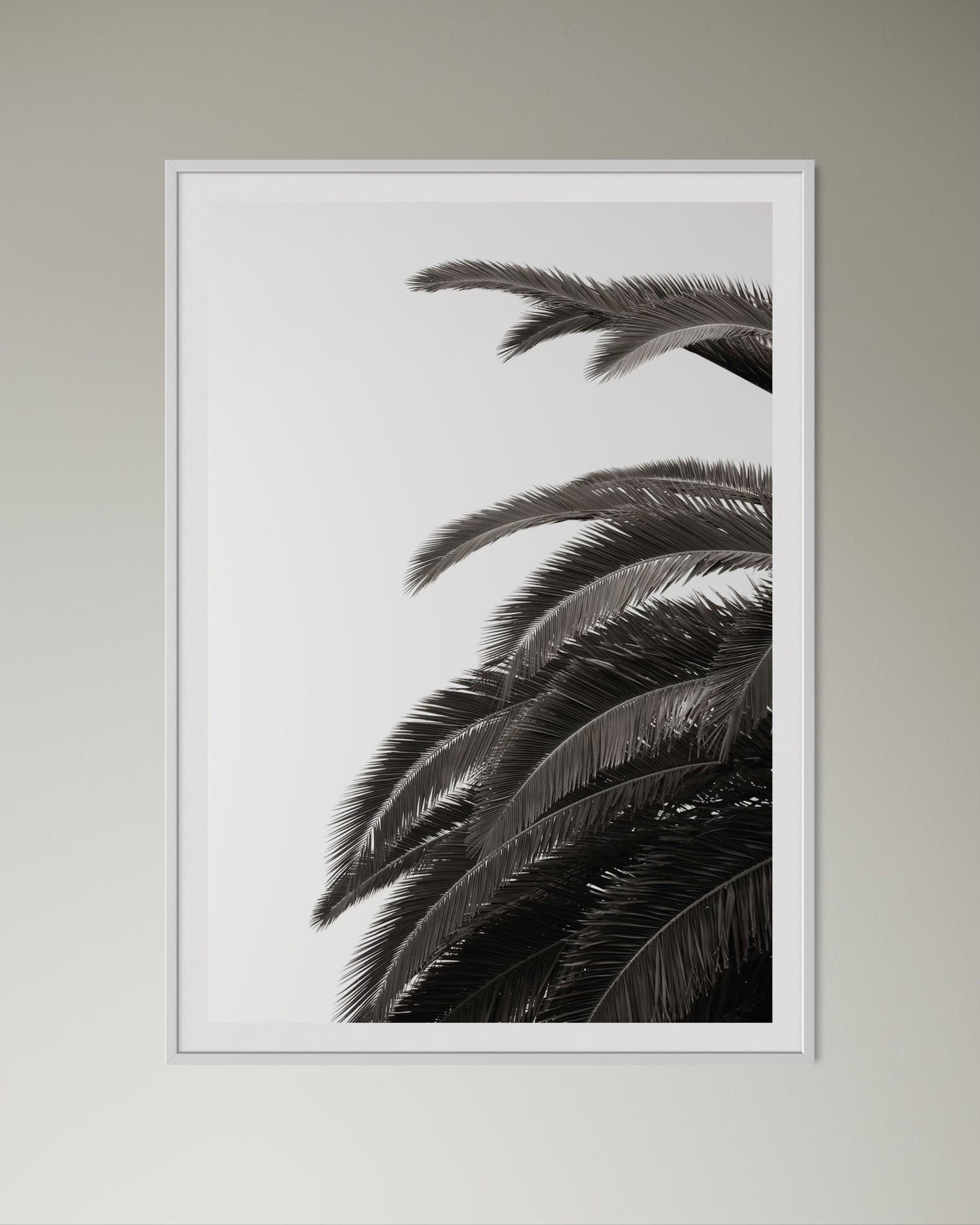 White box-framed artwork print of palm leaves by Francoise V Fine Art Gallery in Cape Town, South Africa