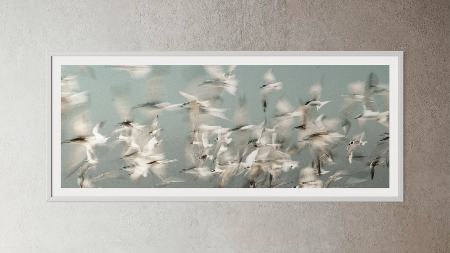 White box-framed artwork print of a Flock of birds flying against a light blue sky by Francoise V Fine Art Gallery in Cape Town, South Africa