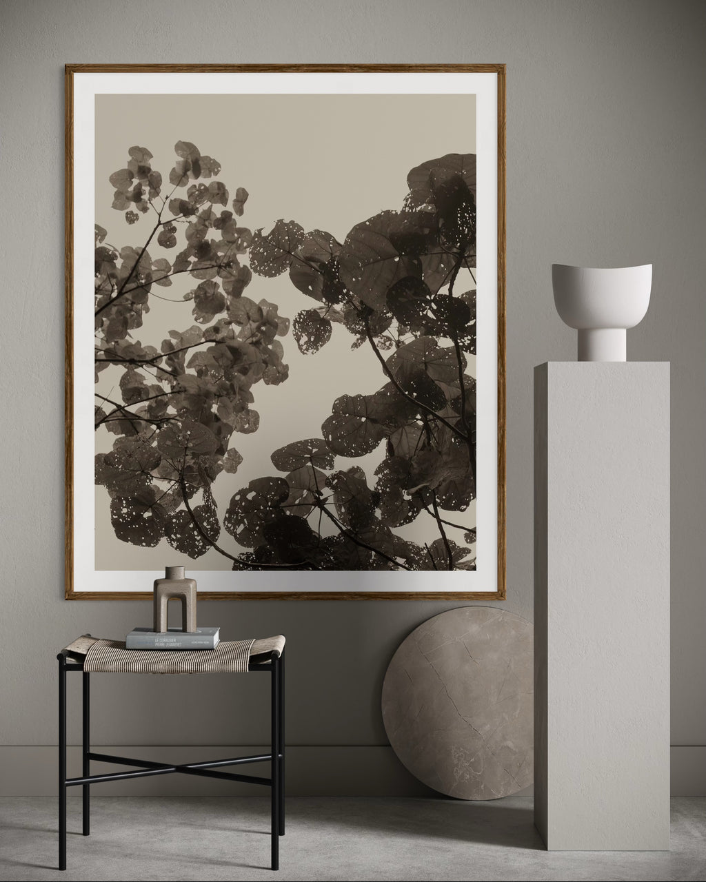 Framed botanical print on a wall with minimal decor by Francoise V Fine Art Gallery in Cape Town, South Africa