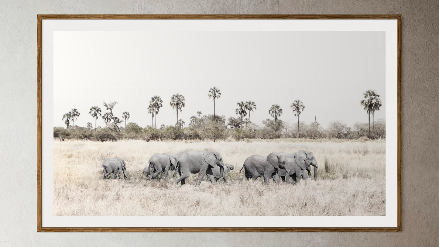 Natural Wood Kiaat framed artwork of a portrait of a herd of elephants walking through grasslands by Francoise V Fine Art Gallery in Cape Town, South Africa