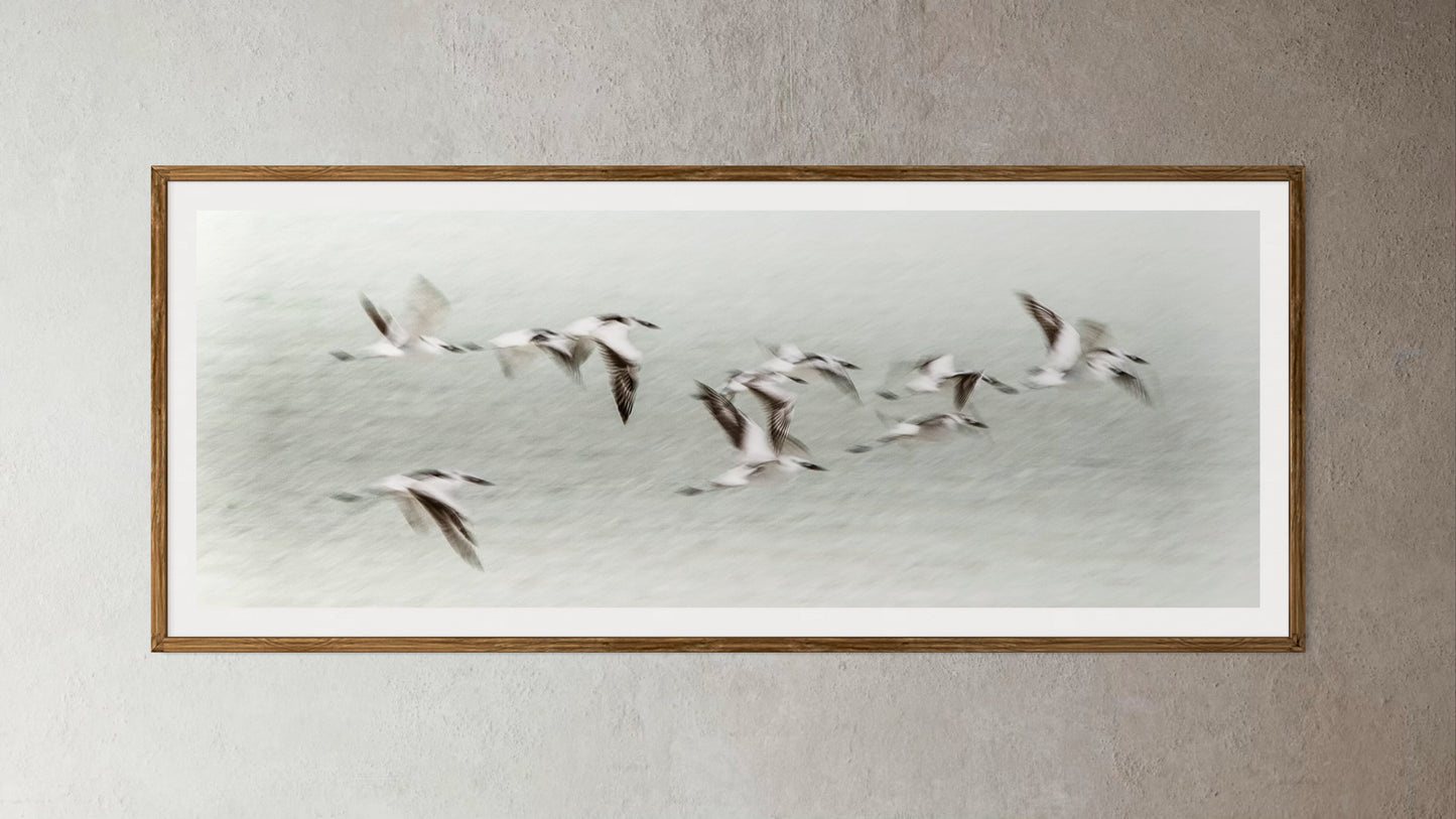 Natural Wood Kiaat framed artwork of a Flock of birds flying against a light blue sky by Francoise V Fine Art Gallery in Cape Town, South Africa