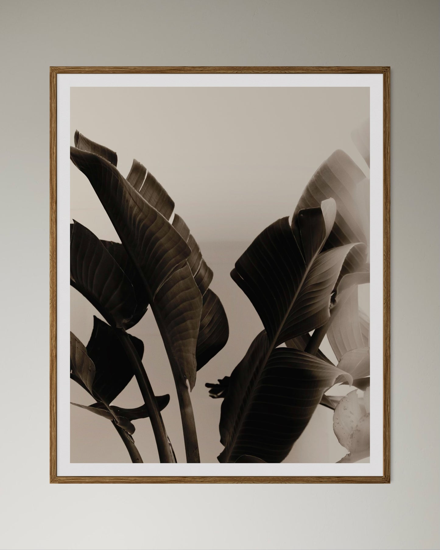 Natural wood-framed artwork of a close-up of tropical leaves with a blurred background by Francoise V Fine Art Gallery in Cape Town, South Africa.