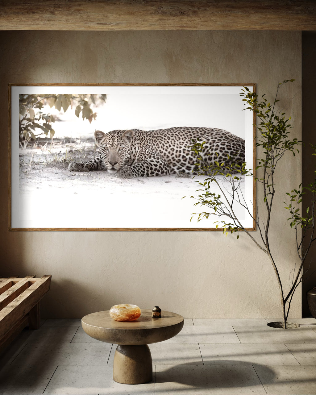 Modern interior featuring a framed artwork of a portrait of a leopard in the shade by Francoise V Fine Art Gallery in Cape Town, South Africa