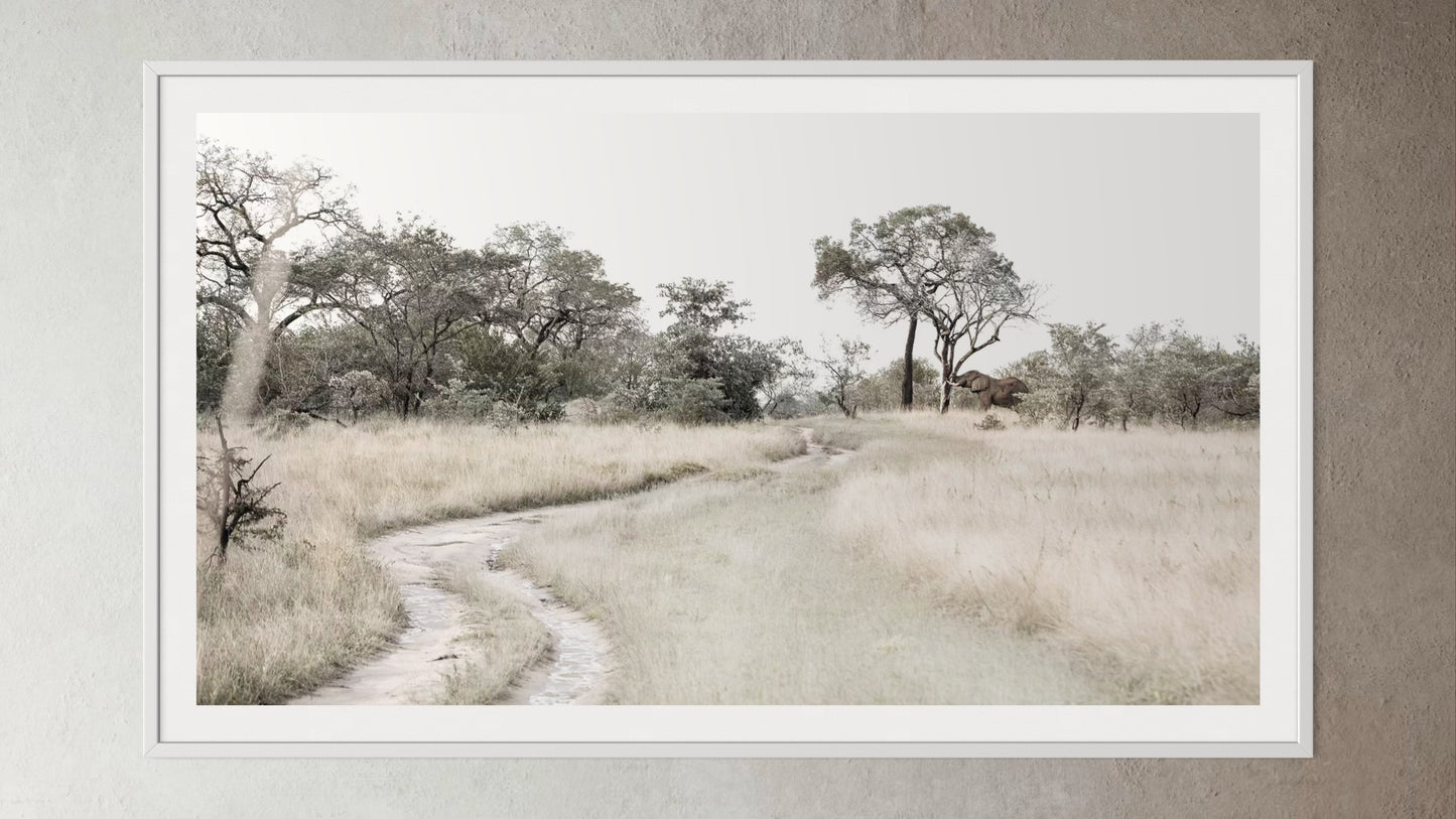 White box-framed artwork print of a portrait of a savannah landscape by Francoise V Fine Art Gallery in Cape Town, South Africa