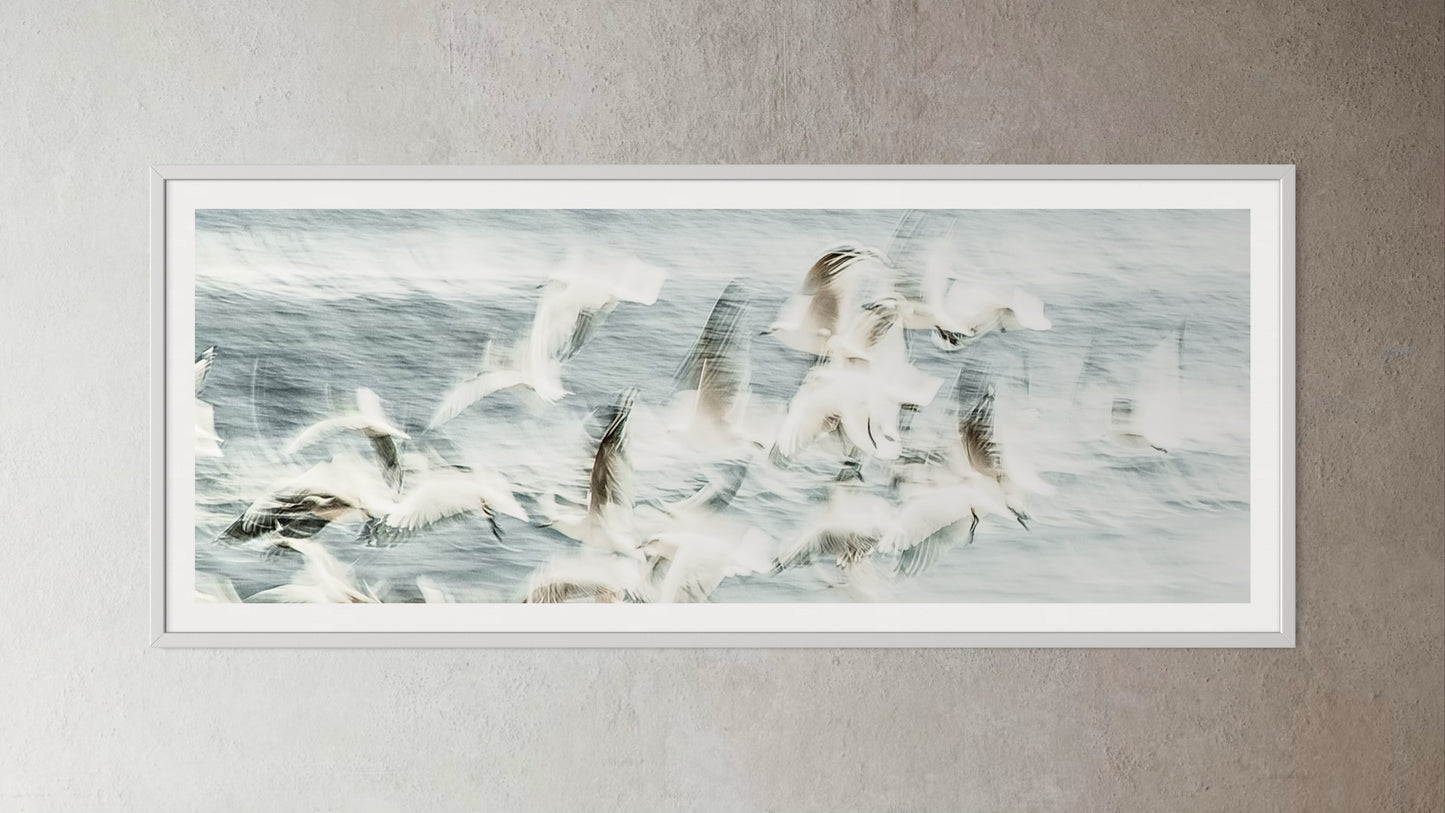 White box-framed artwork print of a Flock of birds flying over a snowy landscape by Francoise V Fine Art Gallery in Cape Town, South Africa