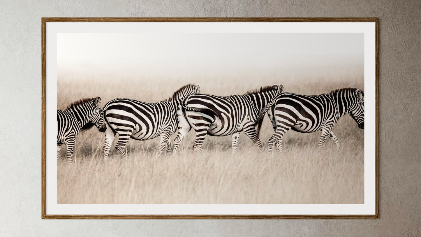 Natural Wood Kiaat framed artwork of a portrait of 4 zebras in a line by Francoise V Fine Art Gallery in Cape Town, South Africa