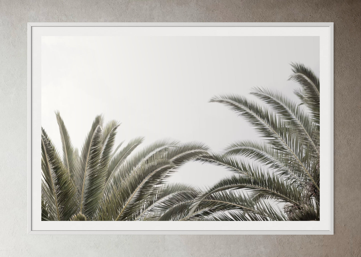 White box-framed artwork print of palm trees with a clear sky by Francoise V Fine Art Gallery in Cape Town, South Africa