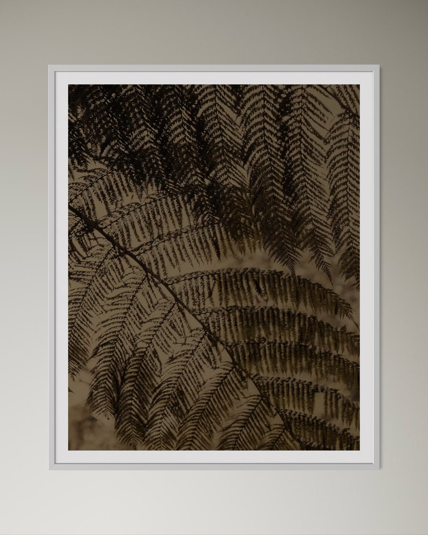 White box-framed earthy abstract artwork of close-up of ferns by Francoise V Fine Art Gallery in Cape Town, South Africa.