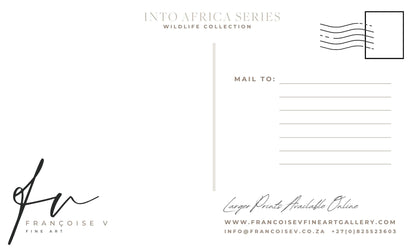 Stripes of the Plains Postcard