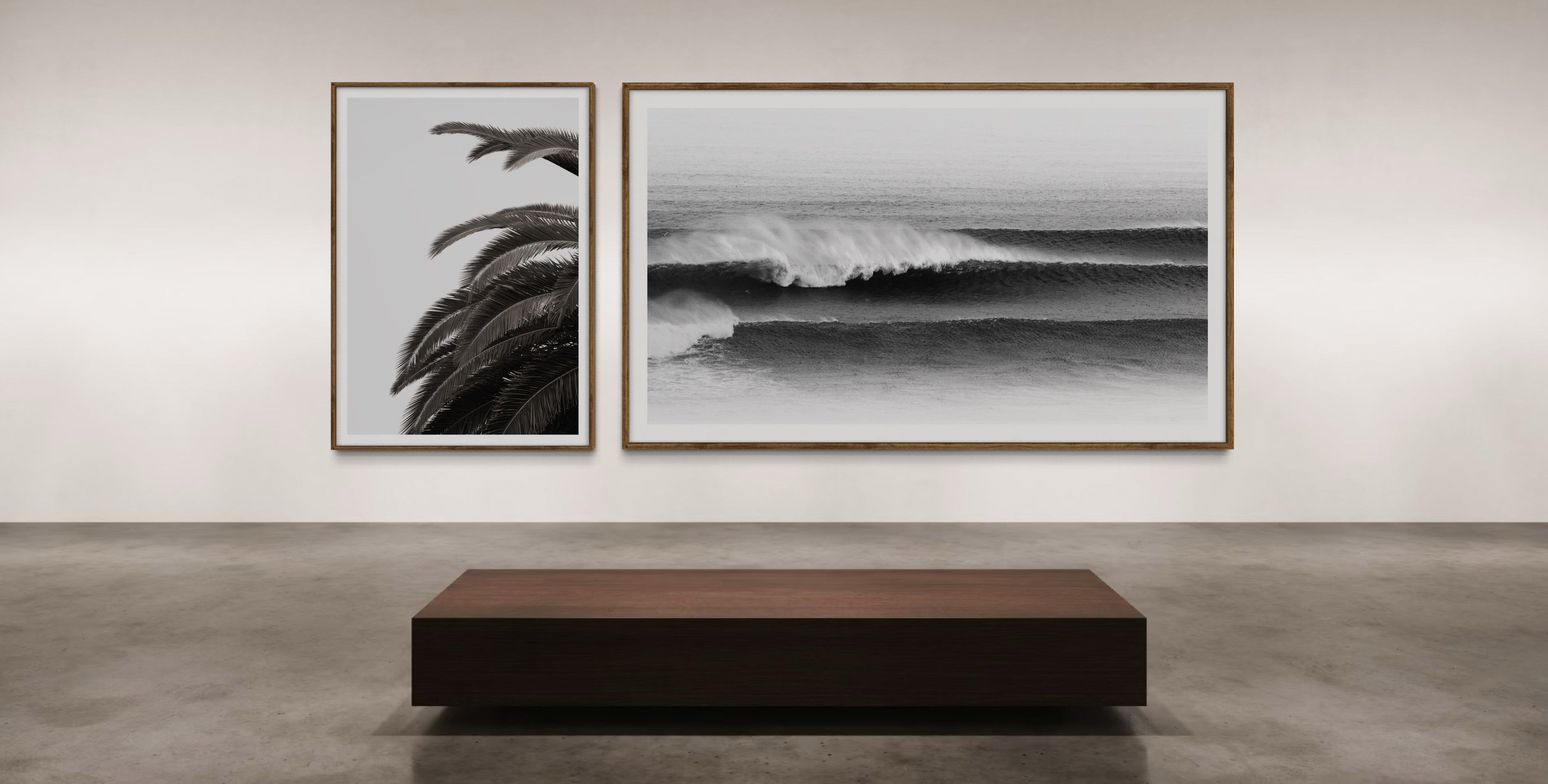 Two framed artworks of a palm tree and a wave on a wall in a gallery setting.