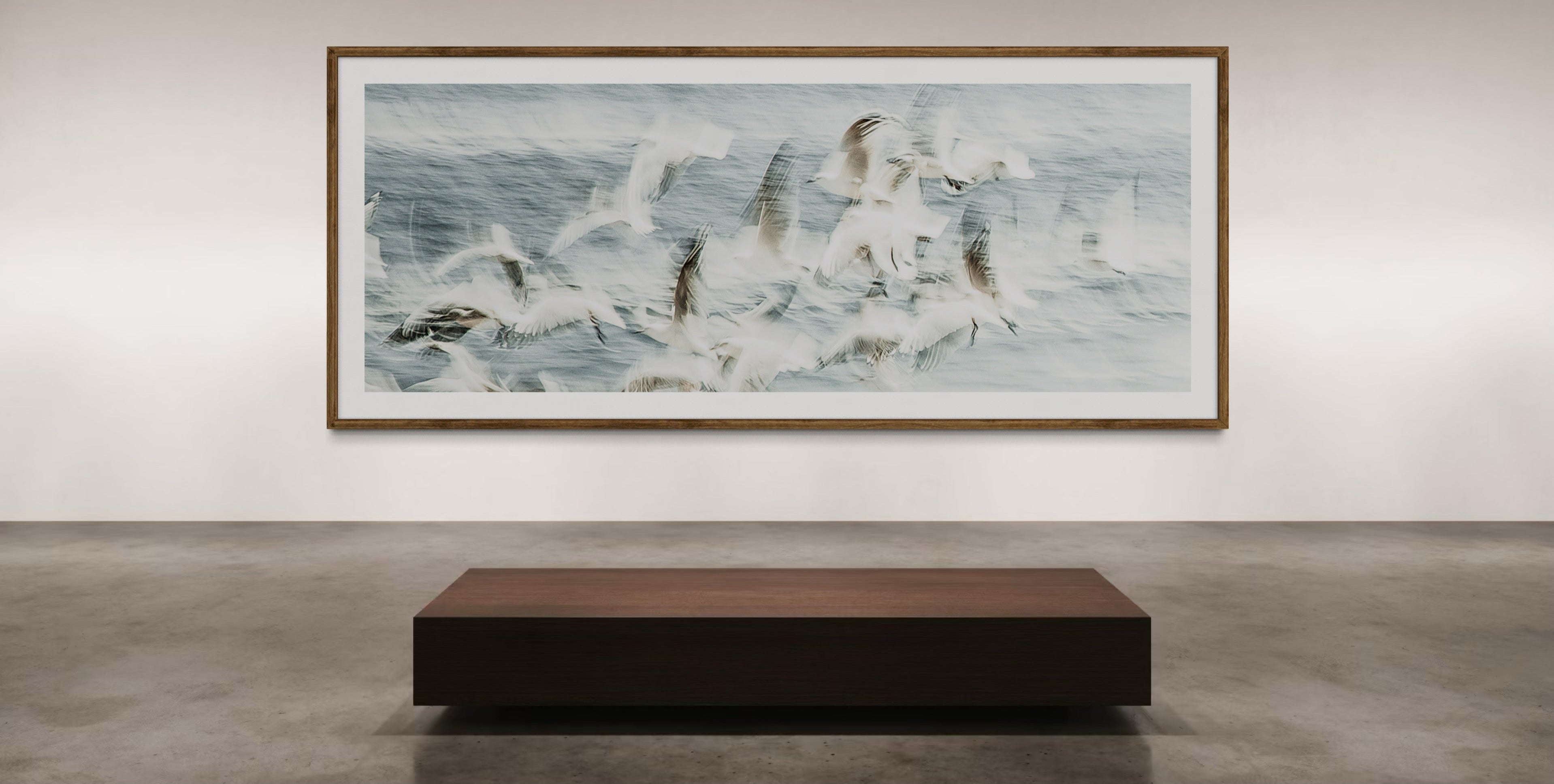 Framed artwork of seagulls in flight on a wall in an art gallery.