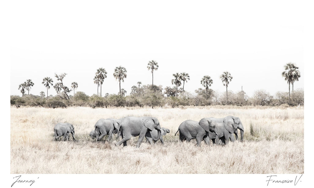 Journey Postcard