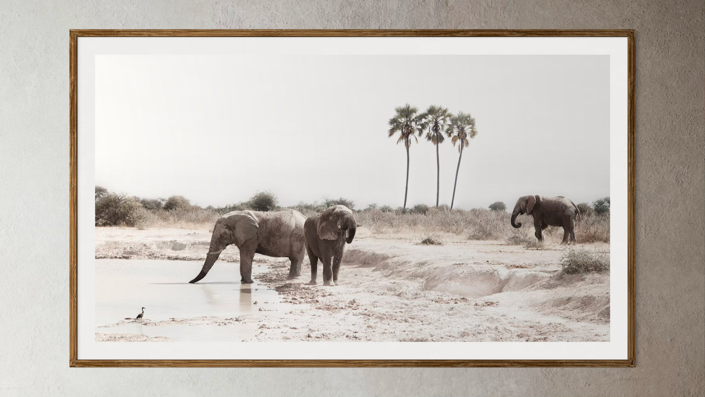 Natural Wood Kiaat framed artwork of a family of elephants at a watering hole by Francoise V Fine Art Gallery in Cape Town, South Africa