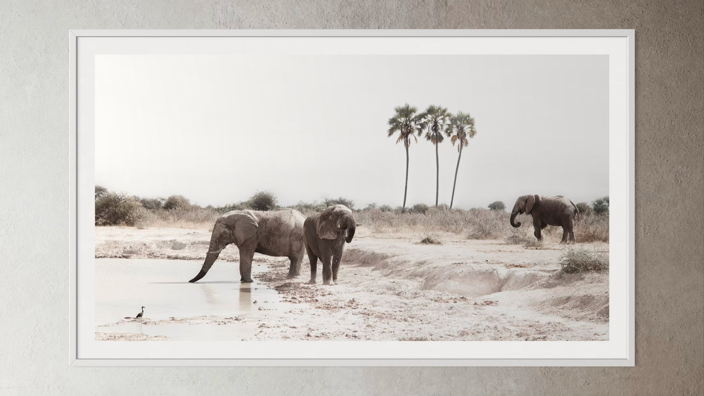 White box-framed artwork print of a family of elephants at a watering hole by Francoise V Fine Art Gallery in Cape Town, South Africa