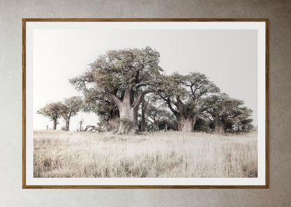 Natural Wood Kiaat framed artwork of a Large tree in a grassy field with a clear sky by Francoise V Fine Art Gallery in Cape Town, South Africa