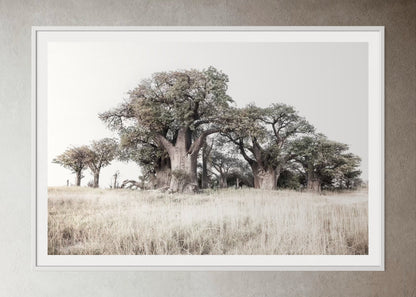 White box-framed artwork print of a Large tree in a grassy field with a clear sky by Francoise V Fine Art Gallery in Cape Town, South Africa