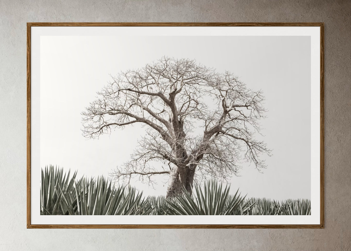 Natural Wood Kiaat framed artwork of a Large tree in a field with a clear sky by Francoise V Fine Art Gallery in Cape Town, South Africa