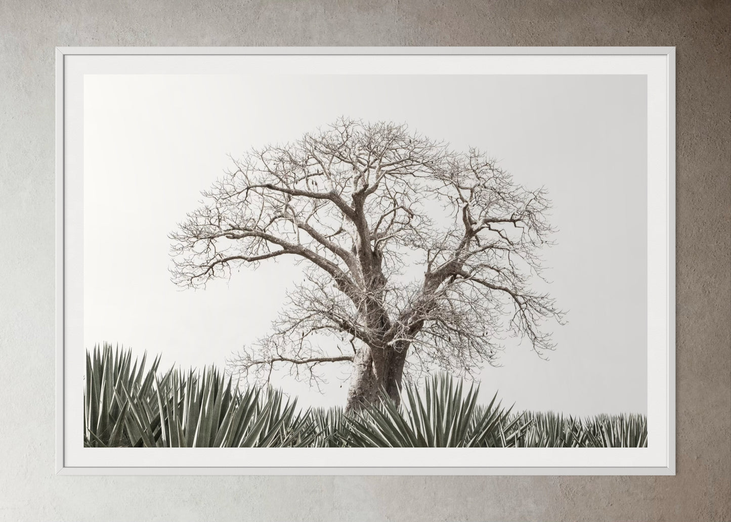 White box-framed artwork print of a Large tree in a field with a clear sky by Francoise V Fine Art Gallery in Cape Town, South Africa