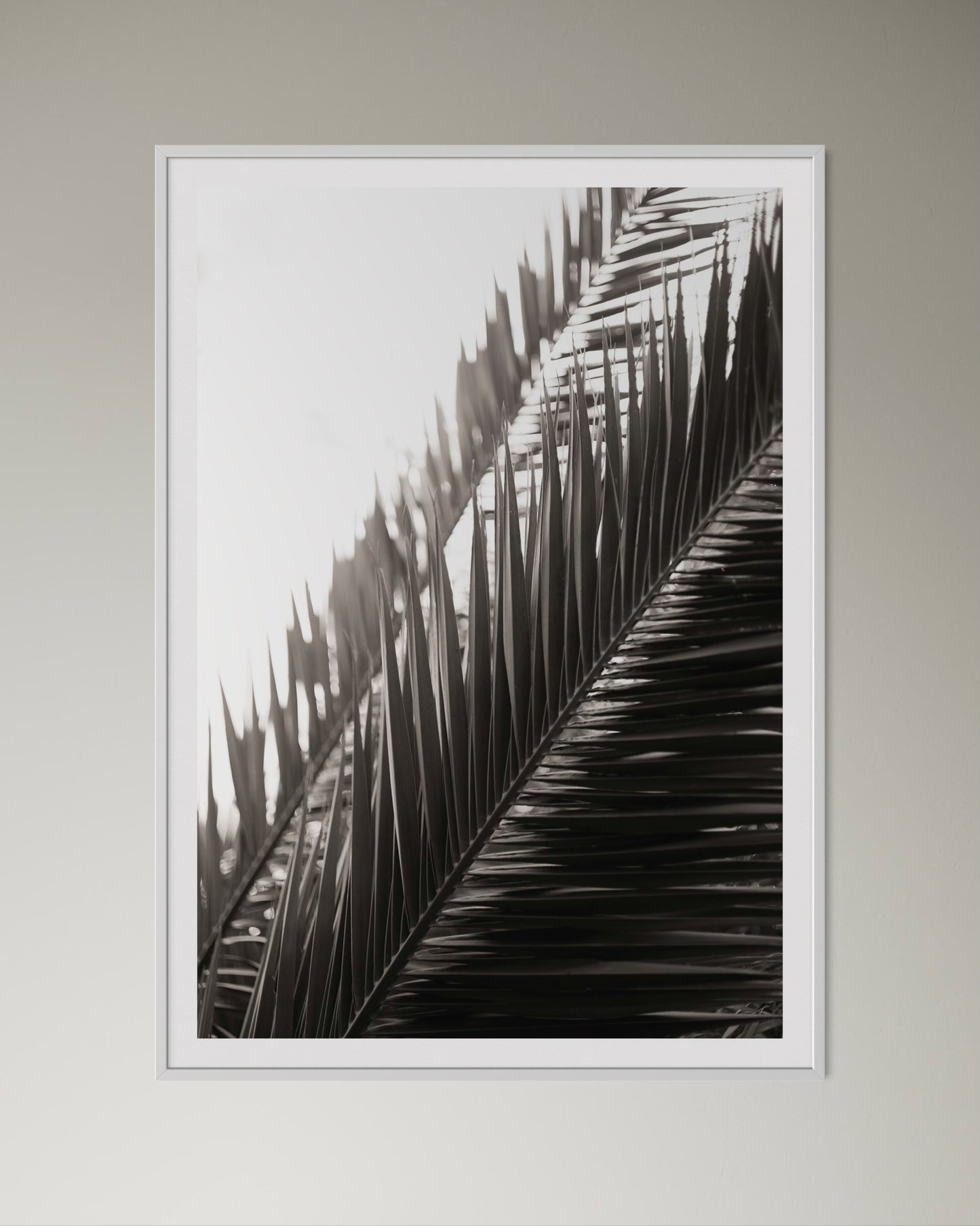 White box-framed artwork print of palm leaves by Francoise V Fine Art Gallery in Cape Town, South Africa