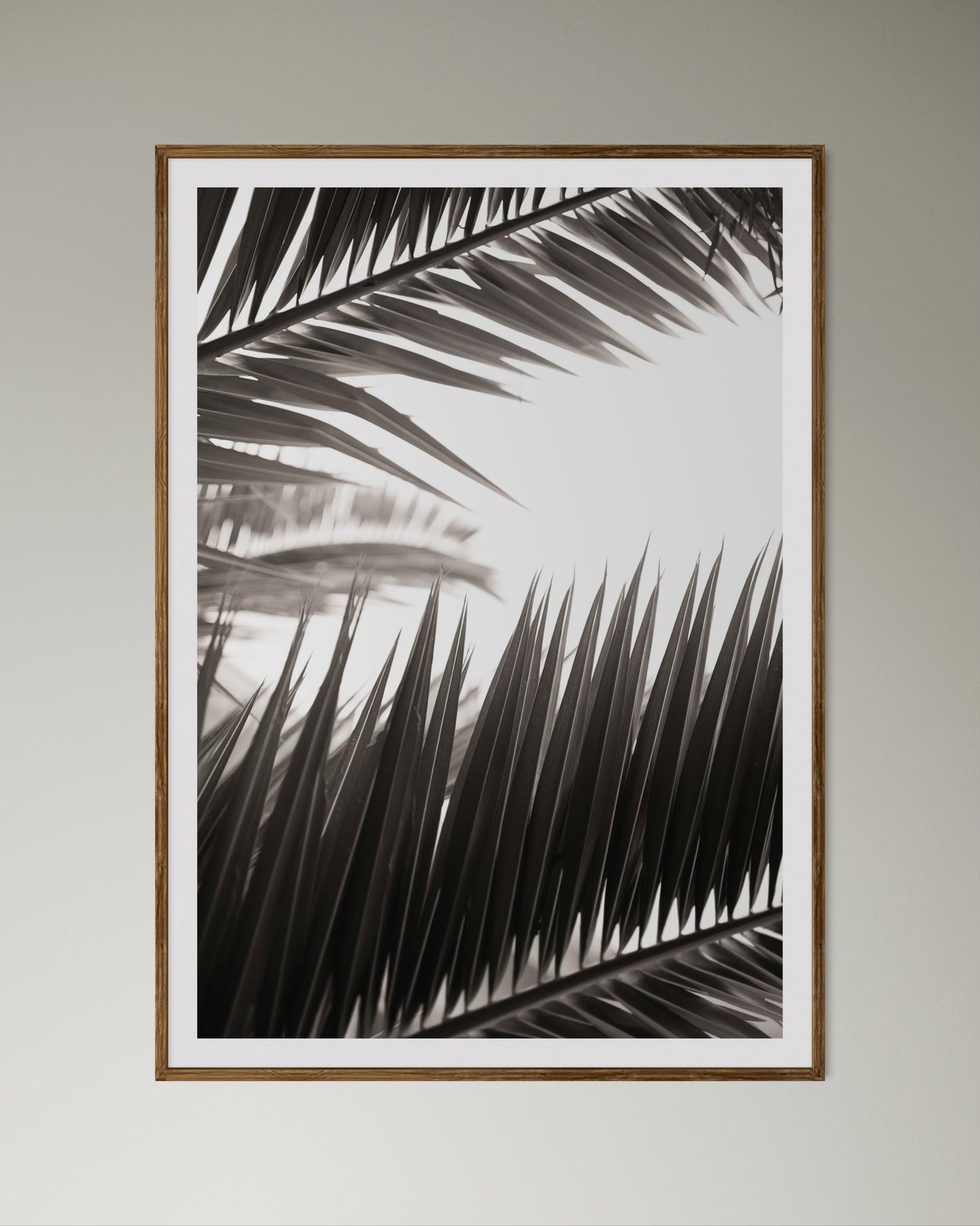 Natural Wood Kiaat framed artwork of palm leaves by Francoise V Fine Art Gallery in Cape Town, South Africa