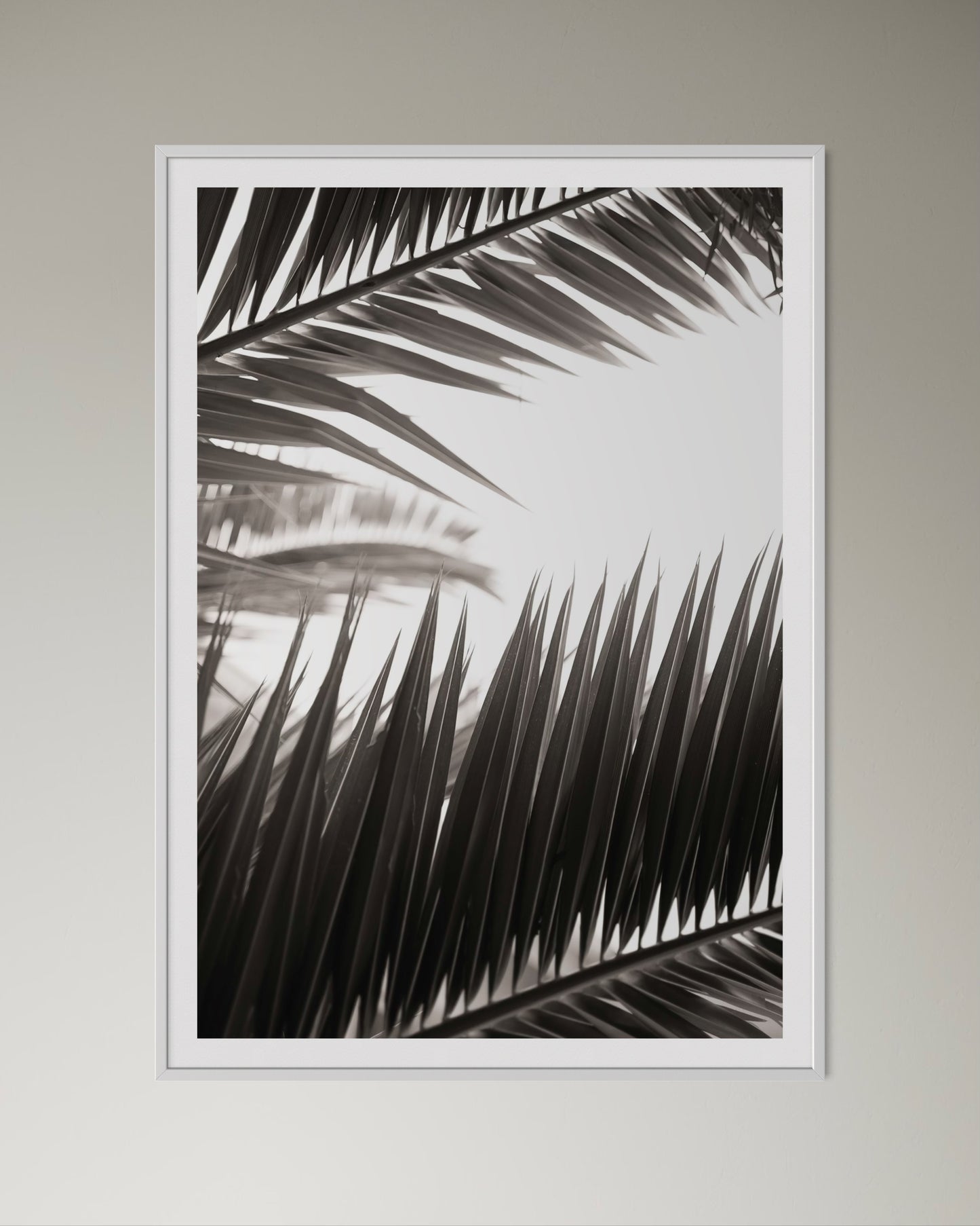 White box-framed artwork print of palm leaves by Francoise V Fine Art Gallery in Cape Town, South Africa
