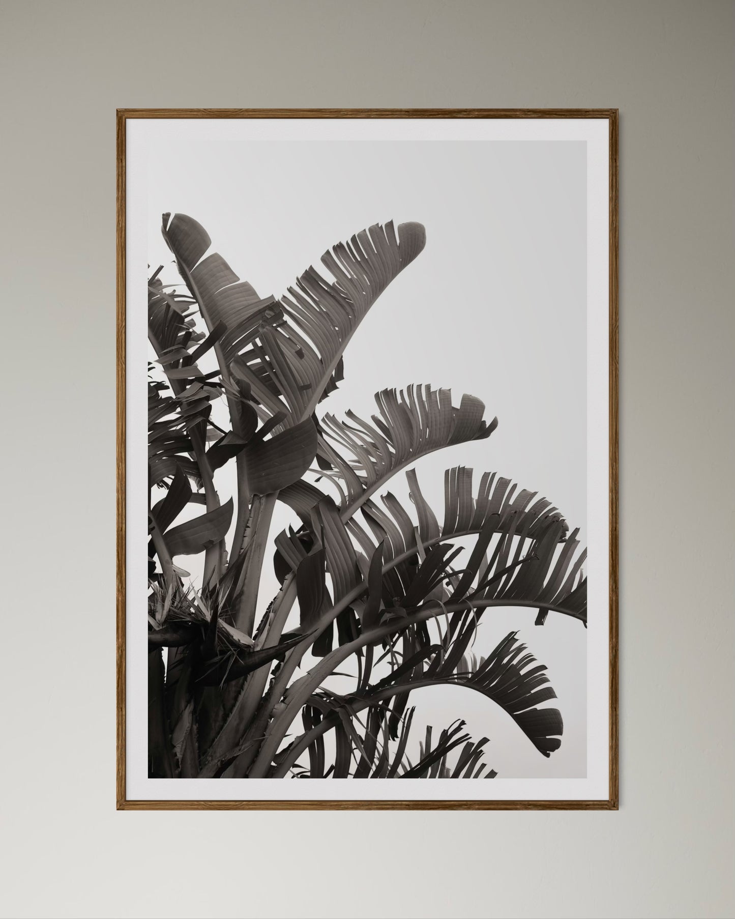 Natural Wood Kiaat framed artwork of palm leaves by Francoise V Fine Art Gallery in Cape Town, South Africa