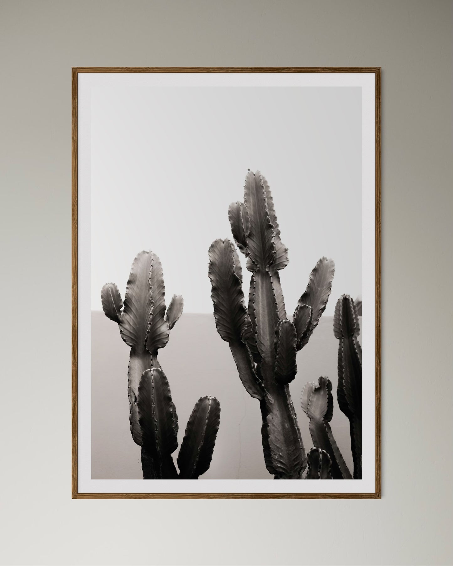 Natural Wood Kiaat framed artwork of a cactus by Francoise V Fine Art Gallery in Cape Town, South Africa