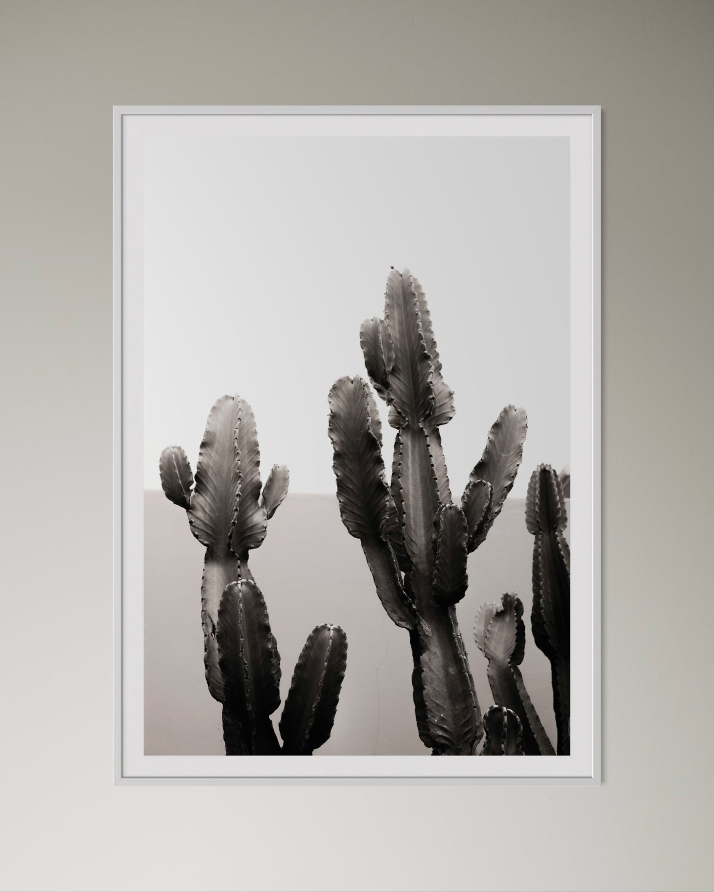 White box-framed artwork print of a cactus by Francoise V Fine Art Gallery in Cape Town, South Africa