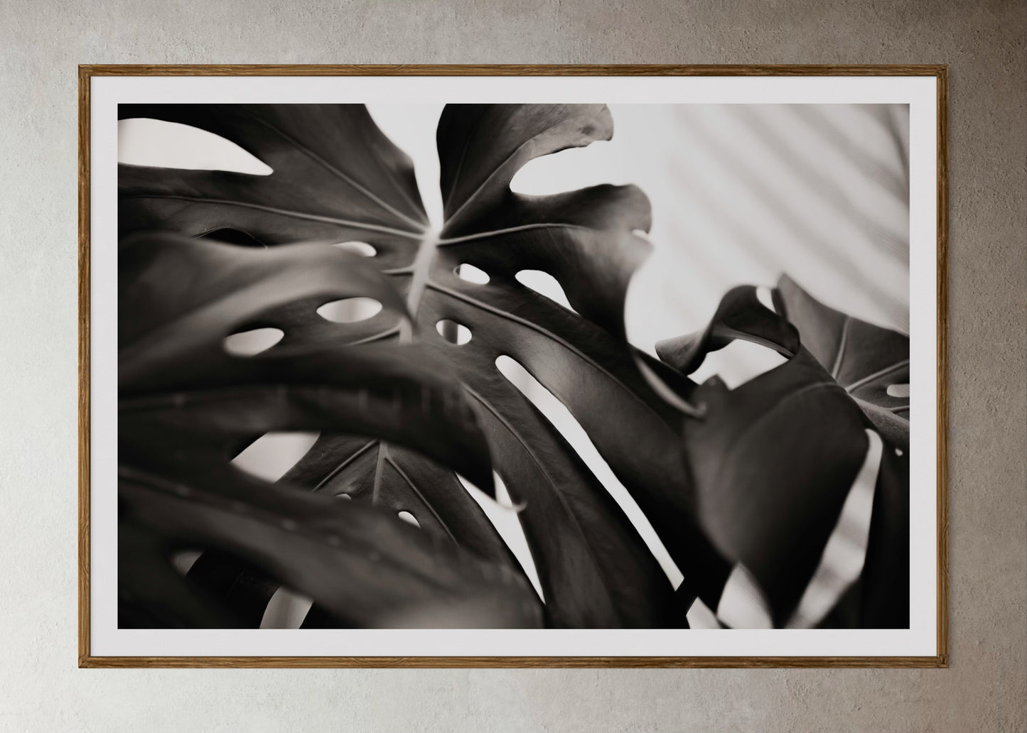 Natural Wood Kiaat framed artwork of a palm leaf by Francoise V Fine Art Gallery in Cape Town, South Africa