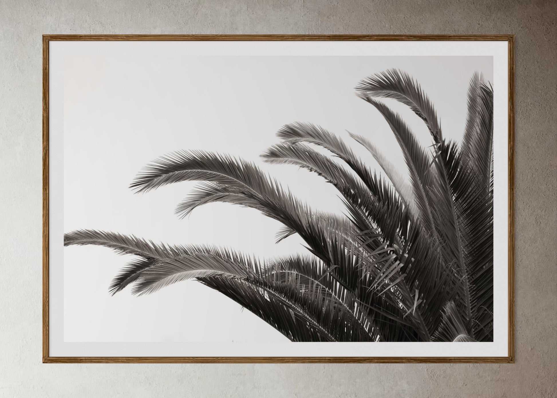 Natural Wood Kiaat framed artwork of palm leaves by Francoise V Fine Art Gallery in Cape Town, South Africa