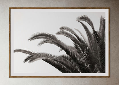 Natural Wood Kiaat framed artwork of palm leaves by Francoise V Fine Art Gallery in Cape Town, South Africa