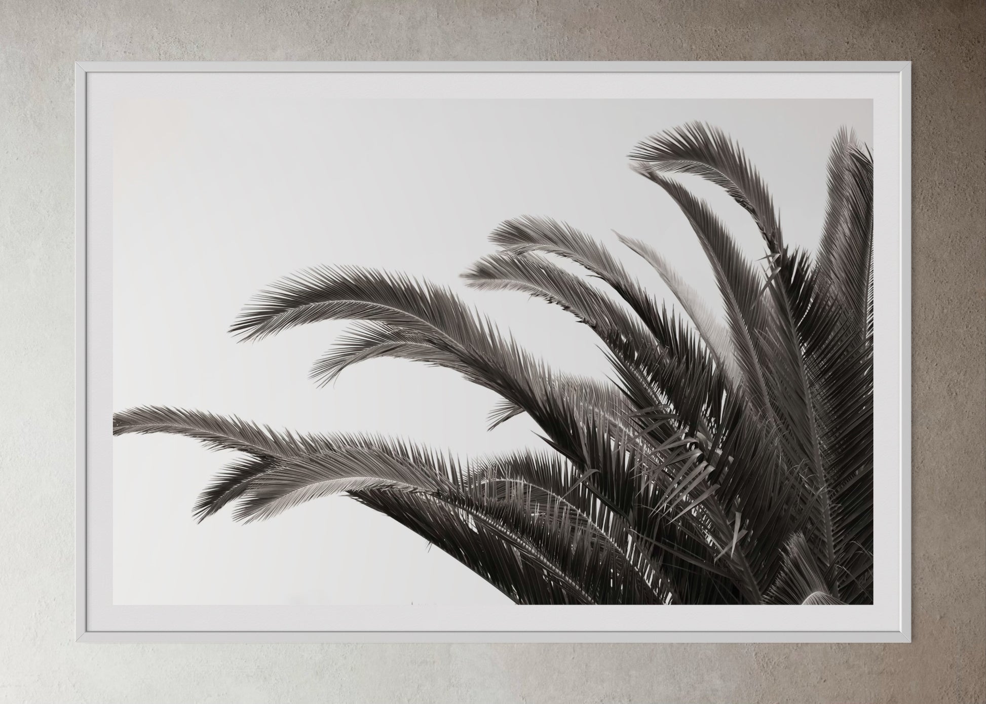 White box-framed artwork print of palm leaves by Francoise V Fine Art Gallery in Cape Town, South Africa