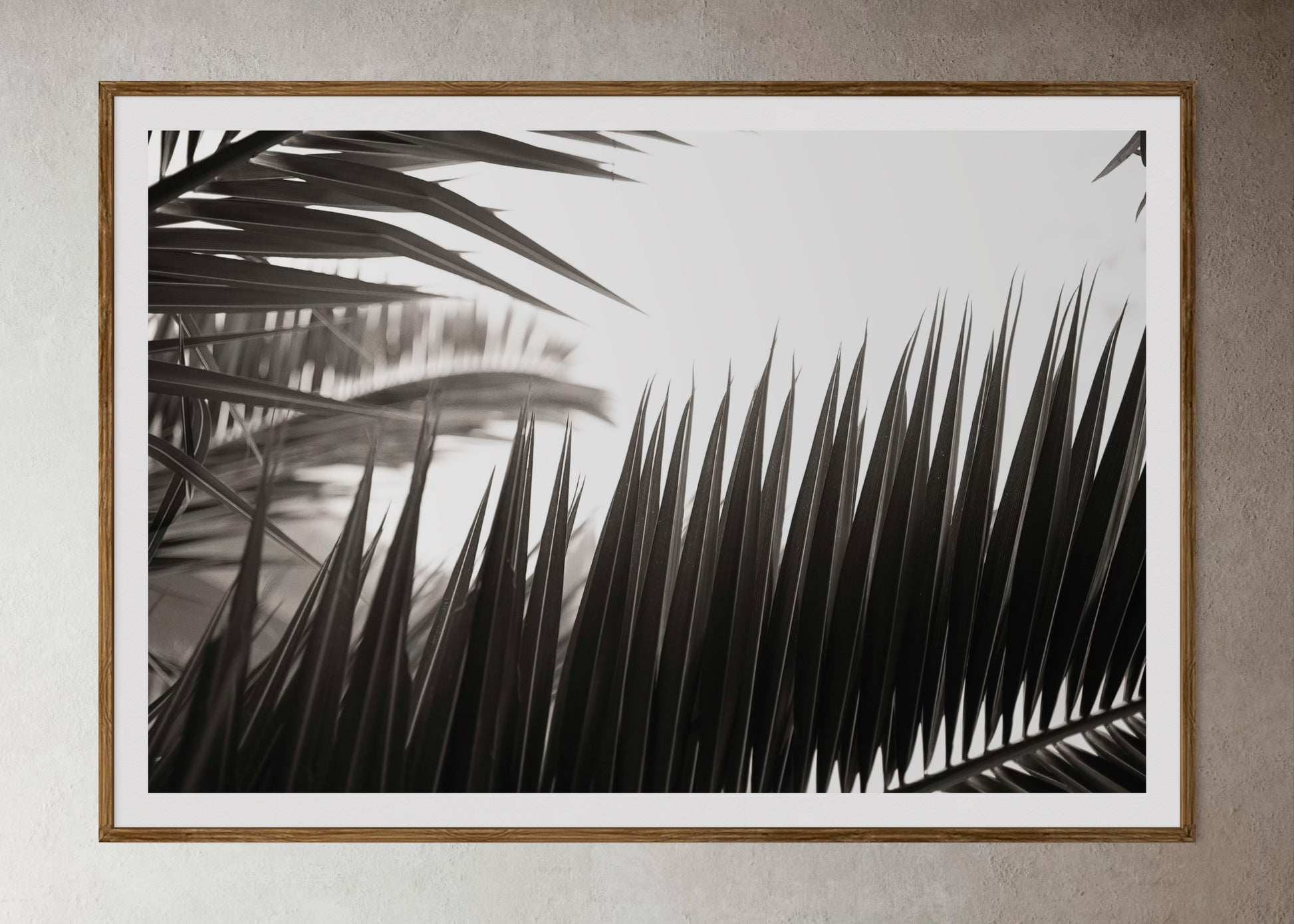 Natural Wood Kiaat framed artwork of palm leaves by Francoise V Fine Art Gallery in Cape Town, South Africa