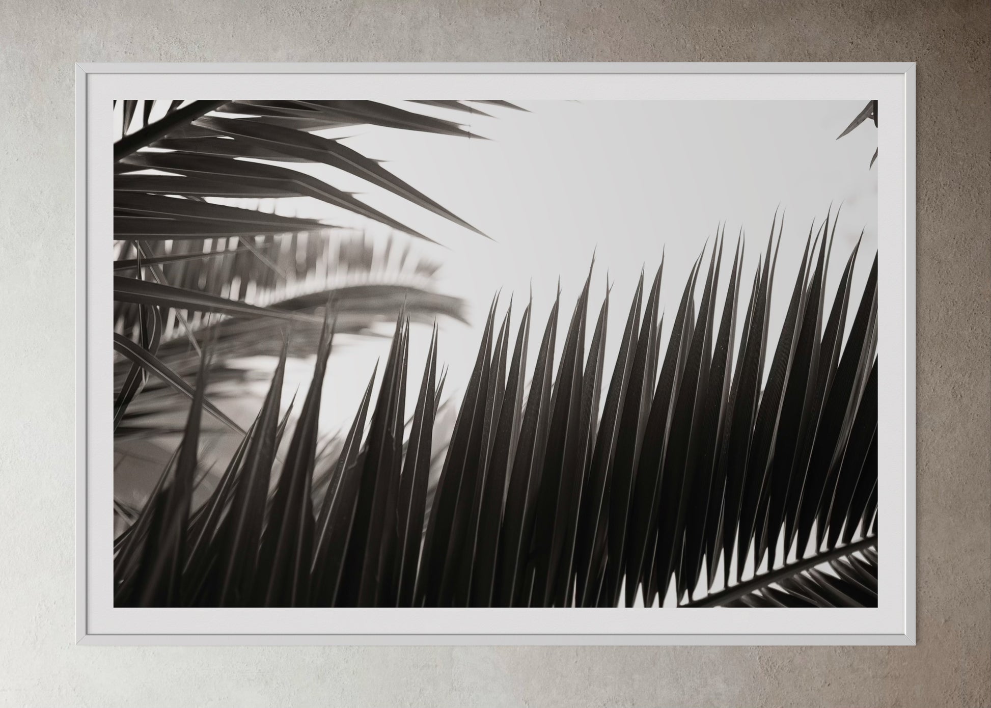 White box-framed artwork print of palm leaves by Francoise V Fine Art Gallery in Cape Town, South Africa