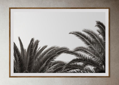 Natural Wood Kiaat framed artwork of palm leaves by Francoise V Fine Art Gallery in Cape Town, South Africa