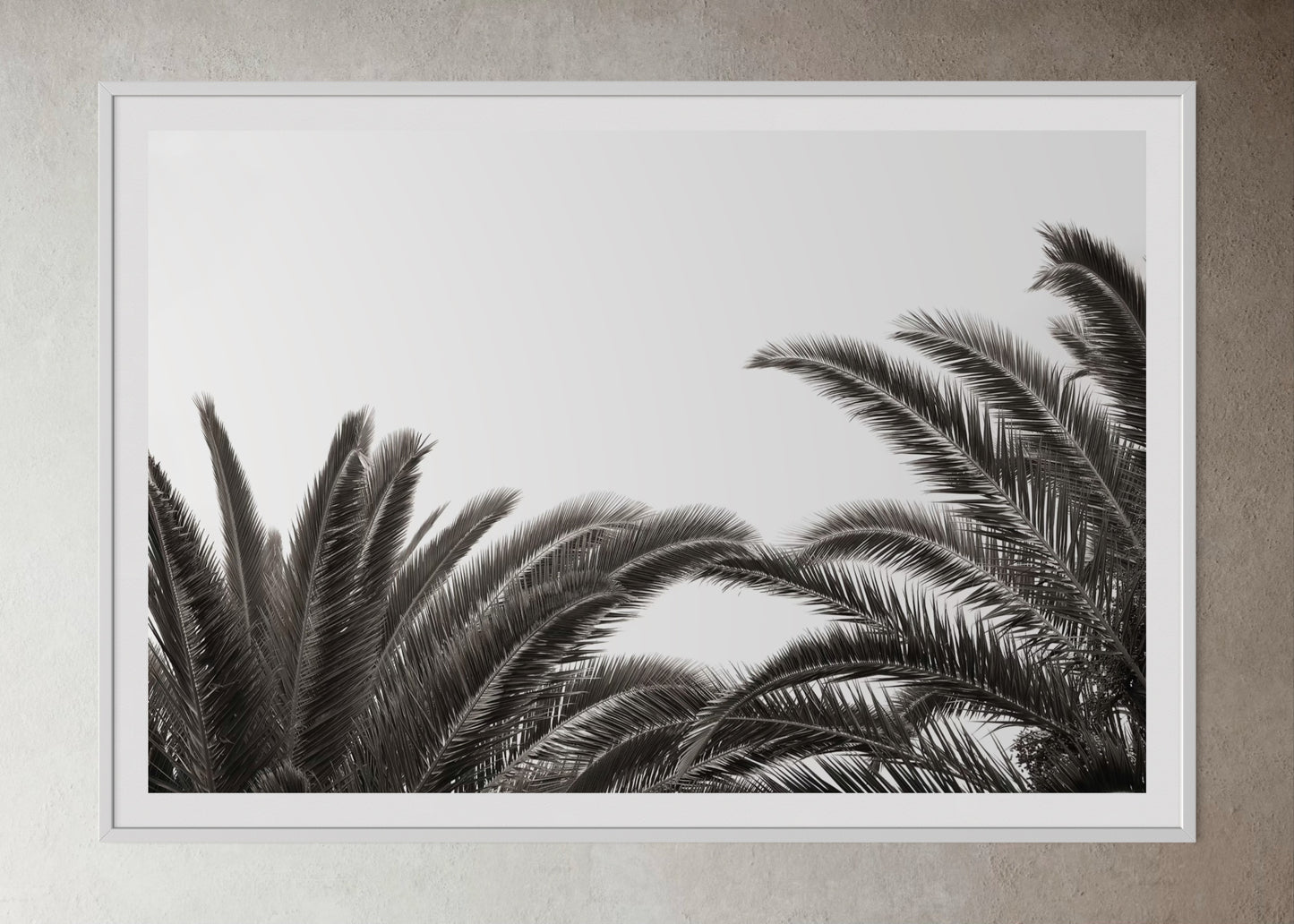 White box-framed artwork print of palm leaves by Francoise V Fine Art Gallery in Cape Town, South Africa