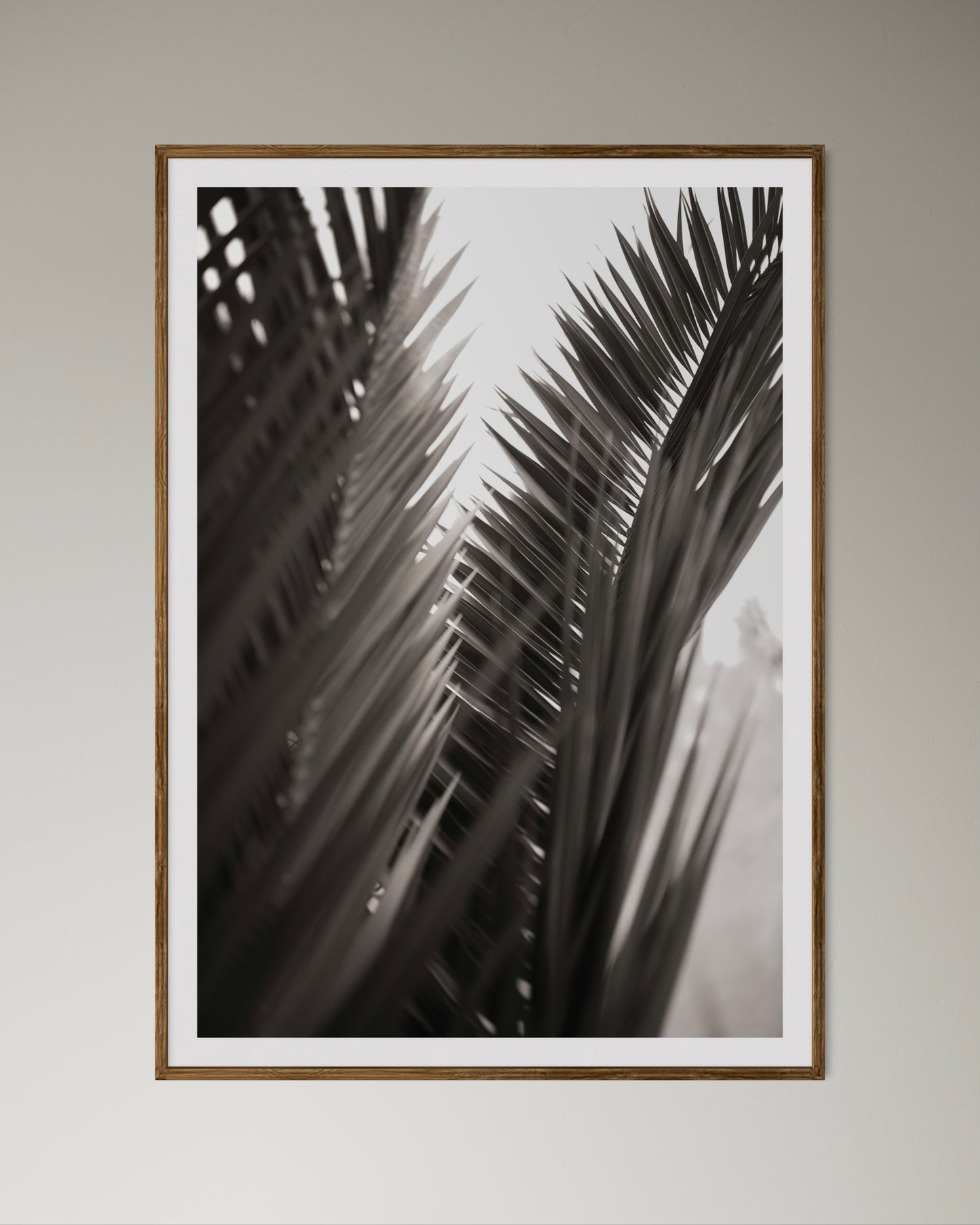 Natural Wood Kiaat framed artwork of palm leaves by Francoise V Fine Art Gallery in Cape Town, South Africa