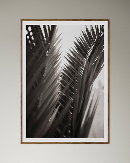 Natural Wood Kiaat framed artwork of palm leaves by Francoise V Fine Art Gallery in Cape Town, South Africa