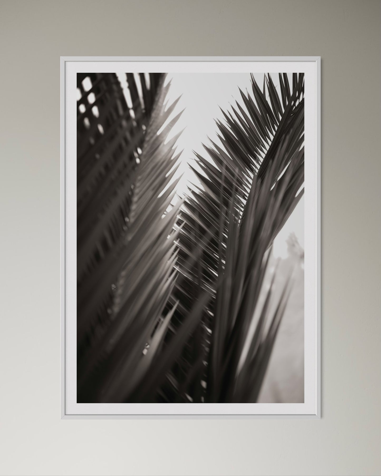 White box-framed artwork print of palm leaves by Francoise V Fine Art Gallery in Cape Town, South Africa