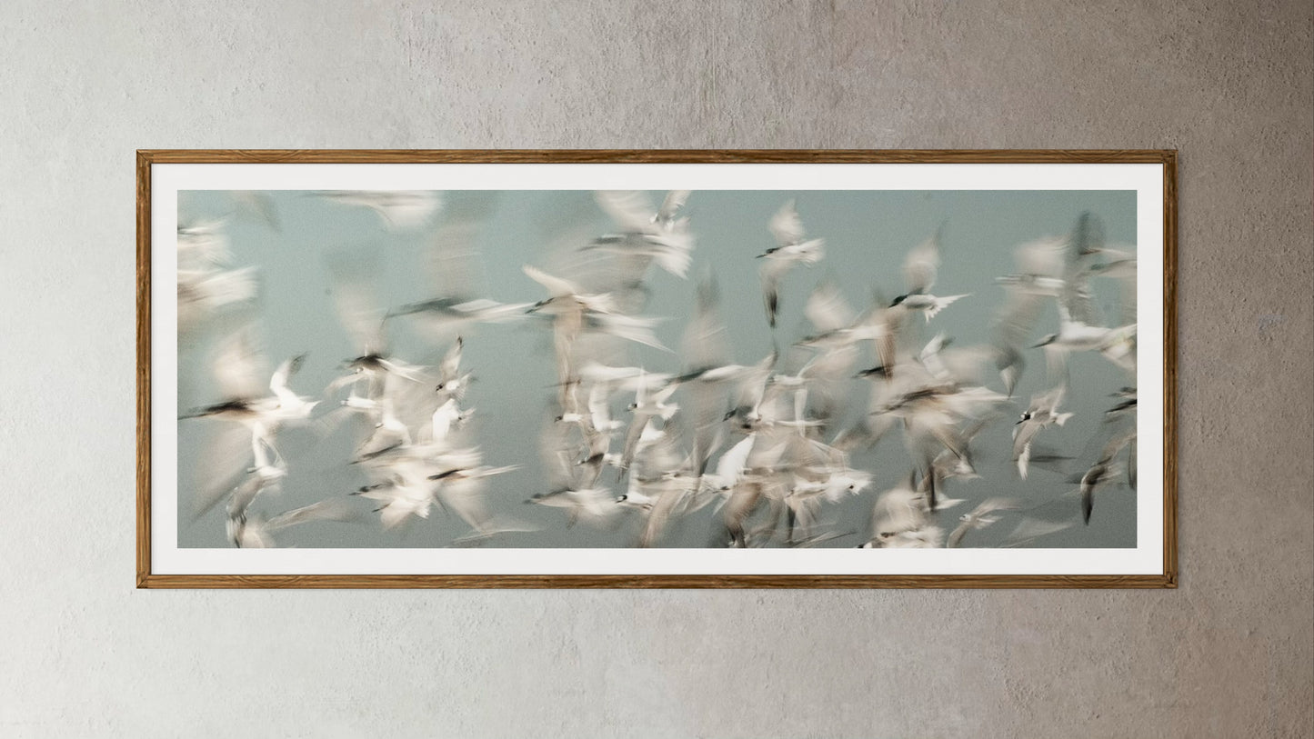Natural Wood Kiaat framed artwork of a Flock of birds flying against a light blue sky by Francoise V Fine Art Gallery in Cape Town, South Africa