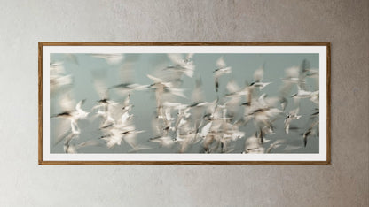 Natural Wood Kiaat framed artwork of a Flock of birds flying against a light blue sky by Francoise V Fine Art Gallery in Cape Town, South Africa