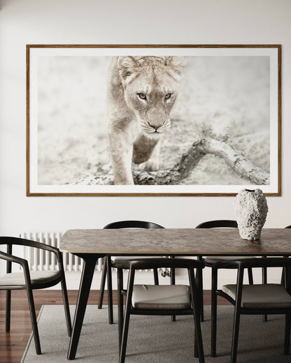 Modern interior featuring a framed artwork of a portrait of lioness by Francoise V Fine Art Gallery in Cape Town, South Africa