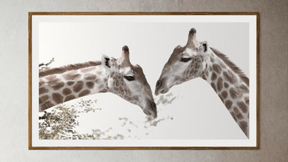 Natural Wood Kiaat framed artwork of a portrait of two giraffes by Francoise V Fine Art Gallery in Cape Town, South Africa